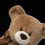 Cameron Pellerin - @squishy_teddy_bear - Instagram