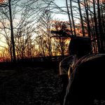 Cameron Pennington - @pinewoodfilms - Instagram