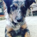 Cameron Penrose - @cassie123201 - Instagram