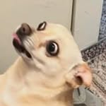 Cameron Pepper - @uxmervq - Instagram