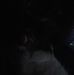 Cameron Perryman - Facebook