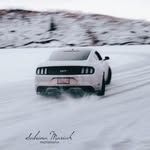 Cameron Peters - @banshee_5.0 - Instagram
