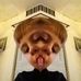 Cameron Petrella - Facebook