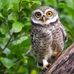 Petrea Cameron - Facebook
