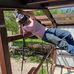 Cameron Petty - Facebook