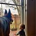 Cameron Porter - Facebook