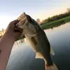 Cameron Porter - @cameronporter6 - TikTok