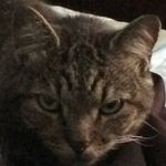 Cameron Purvis - @jerry_the_mouse9 - Instagram