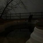 Cameron Quick - @cameron_q1997 - Instagram