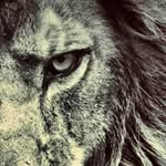 CAMERON QUICK - @cameron_quick_05 - Instagram