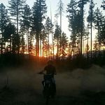 Cameron Reeves - @cameron__reeves - Instagram