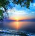 Cameron Riddell - Facebook