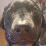 Cameron Riddick - @cam312004 - Instagram