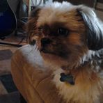 Cameron Riddick - Facebook