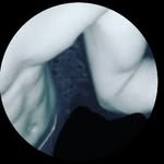 @cameron_ridley2002 - Instagram