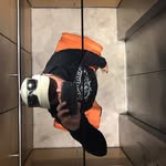 Cameron Ridley - @crid0154 - Instagram