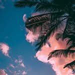 Cameron riley - @rileycam2022 - Instagram