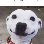 Cameron Riney - @cameronriney - Instagram