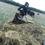 Cameron Rix - Facebook