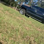 Cameron Roberson - @countryboi_6033 - Instagram