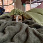 Cameron Roberson - @roberson2075 - Instagram