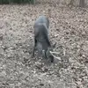 Cameron Rodgers - @cameron.rodgers1 - TikTok