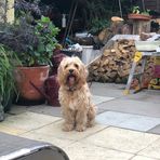 Cameron Roebuck - Facebook