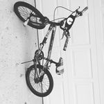 Cameron Rollins - @killacam_bmx_ - Instagram