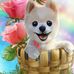 Cameron Romain - Facebook