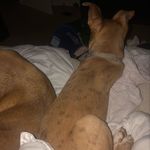 Cameron Roper - @homegrown_99 - Instagram