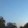 cameron_orrick - @cameron_orrick - TikTok