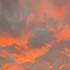 Cameronrowee - @cameronrowee - TikTok