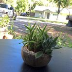Cameron Rowell - Facebook