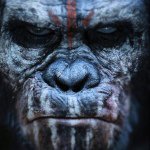 Cameron Wayne Rowell - @badgerr_987 - Instagram