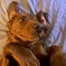 Cameron Ruffin - Facebook