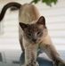 Kameron Rusch - Facebook