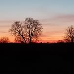 @came_ronrutherford - Instagram