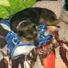 Cameron Sabin - @cameron.sabin5 - TikTok