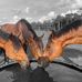Cameron Compton Sadler - Facebook
