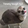 sagecameron4 - @sage.cameron8 - TikTok