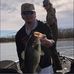 Cameron Sampson - Facebook