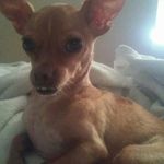 Cameron Santos - @cameron.santos.7374 - Instagram