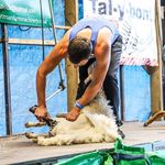 Cameron Saunders - @cameron_saunders17 - Instagram