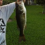 Cameron Schaffer - @fishi_4_fishin - Instagram