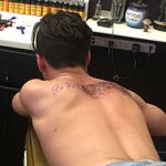 Cameron Shepherd - @cameronshepherd8 - Instagram