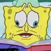 Cameron Shook - @cameron.shook - TikTok