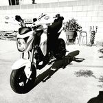 Cameron Starkey - @starkeycameron - Instagram