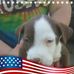 Cameron Steen - Facebook