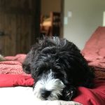 Cameron Swanson - @cameronswanson19 - Instagram