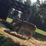Cameron Tate - @camot33 - Instagram